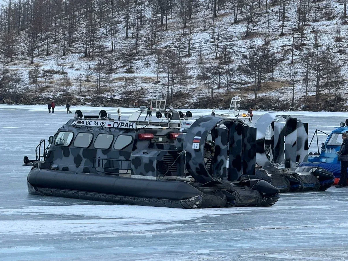 Хивус на льду у берега